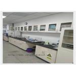 Fast Installation Chemistry Lab Furniture Customizable Classic for sale