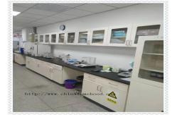 China Fast Installation Chemistry Lab Furniture Customizable Classic supplier