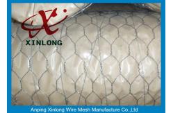 China Hexagonal Wire Mesh 16 Gauge Galvanized Wire Mesh / Chicken Mesh Wire Fencing supplier
