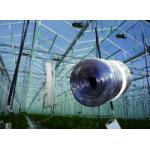 Thread Packing 1200m/Kg 1500m/Kg Polypropylene Tomato Twine UV Treated for sale