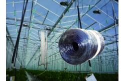 China 1650ft/lbs 2500ft/lbs PP Tomato Tying Twine With UV Resistance supplier