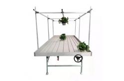 China Two Tier 4x8ft Cannabis Vertical Grow Rack For Hydroponic Indoor Farming supplier