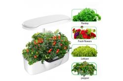 China 2.5L Herb Garden Light Kits NFT Channel Hydroponic Irrigation System 12W supplier