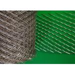 0.35mm Thickness Galvanized Diamond Hole Brickwork Reinforcement Mesh