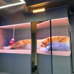 Indoor Single Moving LED Screen Y 3840Hz 1920Hz Moving Led Display for sale