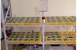 China Indoor CO2 Meter manufacturer