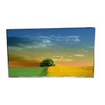 LD860EQY-SMN2 86.0 inch 60Hz Lcd Panel for sale