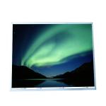 AUO 19 M190EN03 V0 1280*1024 86PPI MVA, Normally Black, Transmissive LCD Laptop Screen for sale