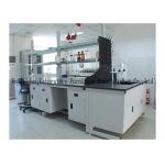 Industrial Steel Lab Furniture , Chemistry Laboratory Workbench Furniture for sale