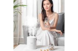 China Portable Ultrasonic Cool Mist Air Humidifier 1.1L supplier