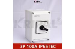 China 3P 100A IP65 230-440V Waterproof Changeover Switch IEC standard supplier
