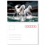 Full Color 0.6 MM PET Lenticular 3d Poster Card With Pearlised Film for sale