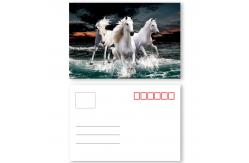 China Custom Restaurant Animation 0.35mm 3D Lenticular Card supplier