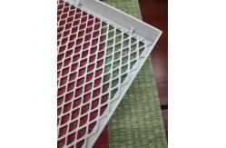 China Golden Silver Black Metal Aluminum Expanded Mesh Net Cloth Screen Netting supplier