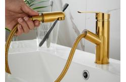 China Single Hole Golden 360 Degree Pull Out Sink Faucet With Sprayer supplier