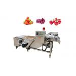 Lifting 380V 3.75KW 500kg/H Vegetable Washing Machine for sale
