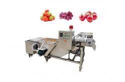 China Portable 500kg/Hour Vegetable And Fruit Washing Machine supplier
