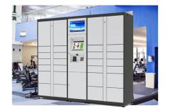 China UV light Self Service Custom Web Online Delivered Parcel Locker With Advertising LCD supplier