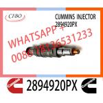 Diesel common rail Fuel Injector 2894920PX 2894920