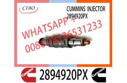 China Diesel common rail Fuel Injector 2894920PX 2894920 supplier