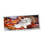 For AUO C123HAN02.5 12.3 inch 40 pins LCD Display for sale