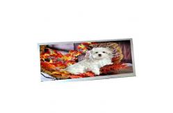 China For AUO C123HAN02.5 12.3 inch 40 pins LCD Display supplier