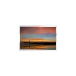 8.8 inch 1600*2560 PN8807DB1-1  LCD Display for sale