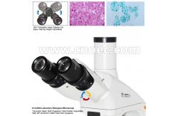China Infinity Laboratory Biological Microscope LED Illumination With CE A12.0205 supplier