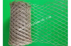 China 20cm Width Galvanized Brick Reinforcement Mesh Anti - Cracking 370g / M2 supplier