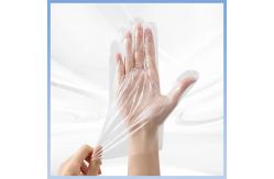 China Non Irritating Harmless Transparent PE Disposable Gloves Poly Food Service Gloves supplier