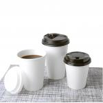 210cc 78mm Ingle Wall Paper Cup Customized Plastic Free Disposable Cups Bamboo for sale
