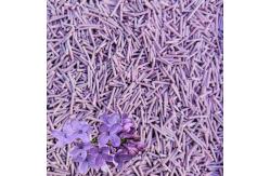 China Highly Absorbent Tofu Clumping Cat Litter OEM ODM Eco Friendly Kitty Litter supplier