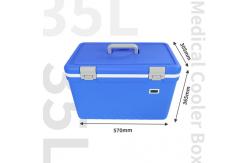 China Best Cooler with Temperature Display External Dimensions 570*305*365mm supplier