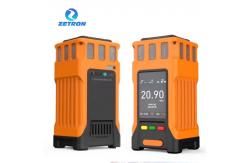 China LCD Zetron PTM600-S-CO wireless co detector for Gas Environmental supplier