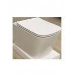 China China factory wholesale rimless commode wall hang hiddden cistern wc toilet bathroom toilet for sale