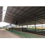 Low Cost Livestock Shelter Dairy Farm Barn Steel Structure Cow Shed For Live Cattle for sale