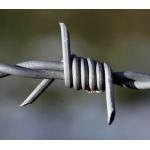 Hot sell high quality 14x14 16x14 galvanized barbed wire for sale