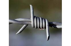 China Hot sell high quality 14x14 16x14 galvanized barbed wire supplier