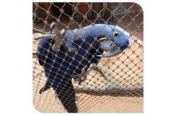 China Flexible Stainless Steel Bird Mesh High Intensity 20mm - 200mm Aperture supplier