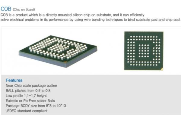 ENEPIG ENIG Soft Gold Package Substrate Customize 1-6 Layer BT Substrate