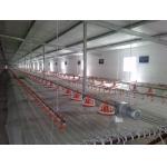 2kg-4Kg / Time Automatic Broiler Feeding System Poultry Farm Feeding System