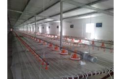 China 2kg-4Kg / Time Automatic Broiler Feeding System Poultry Farm Feeding System supplier