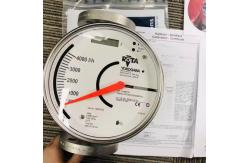 China RAMC05-D4SS-63S2-T91NNN/IE1 RAMC Variable Area Flow Meter RAMC01 RAMC05 RAMC08 supplier