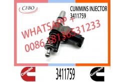 China Fuel Injector 4307795 3087733 3095086 3411691 3411759 3411764 3411765 3411766 4307516 3083846 supplier