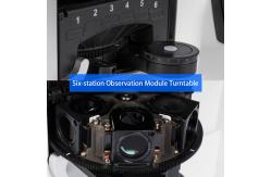 China OPTO EDU A13.1096 Inverted Metallurgical Microscope Research Level supplier