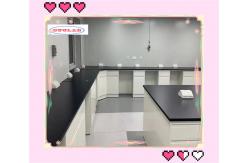 China Customizable Chemistry Lab Bench With Sinks Insertion Aluminum Alloy Handle For Hospital supplier