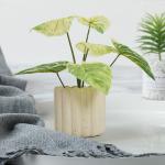 SGS Artificial Potted Floor Plants High Simulation Plastic Philodendron Birkin for sale