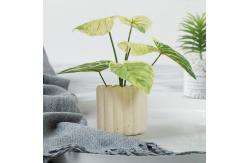 China SGS Artificial Potted Floor Plants High Simulation Plastic Philodendron Birkin supplier