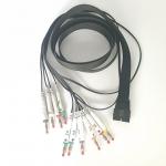 Schiller Female Connector 10 Leads Holter Recorder Cable for sale