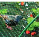 Green Bird Proof Net 3m / 5m Polyethylene Bird Netting High Durability for sale
